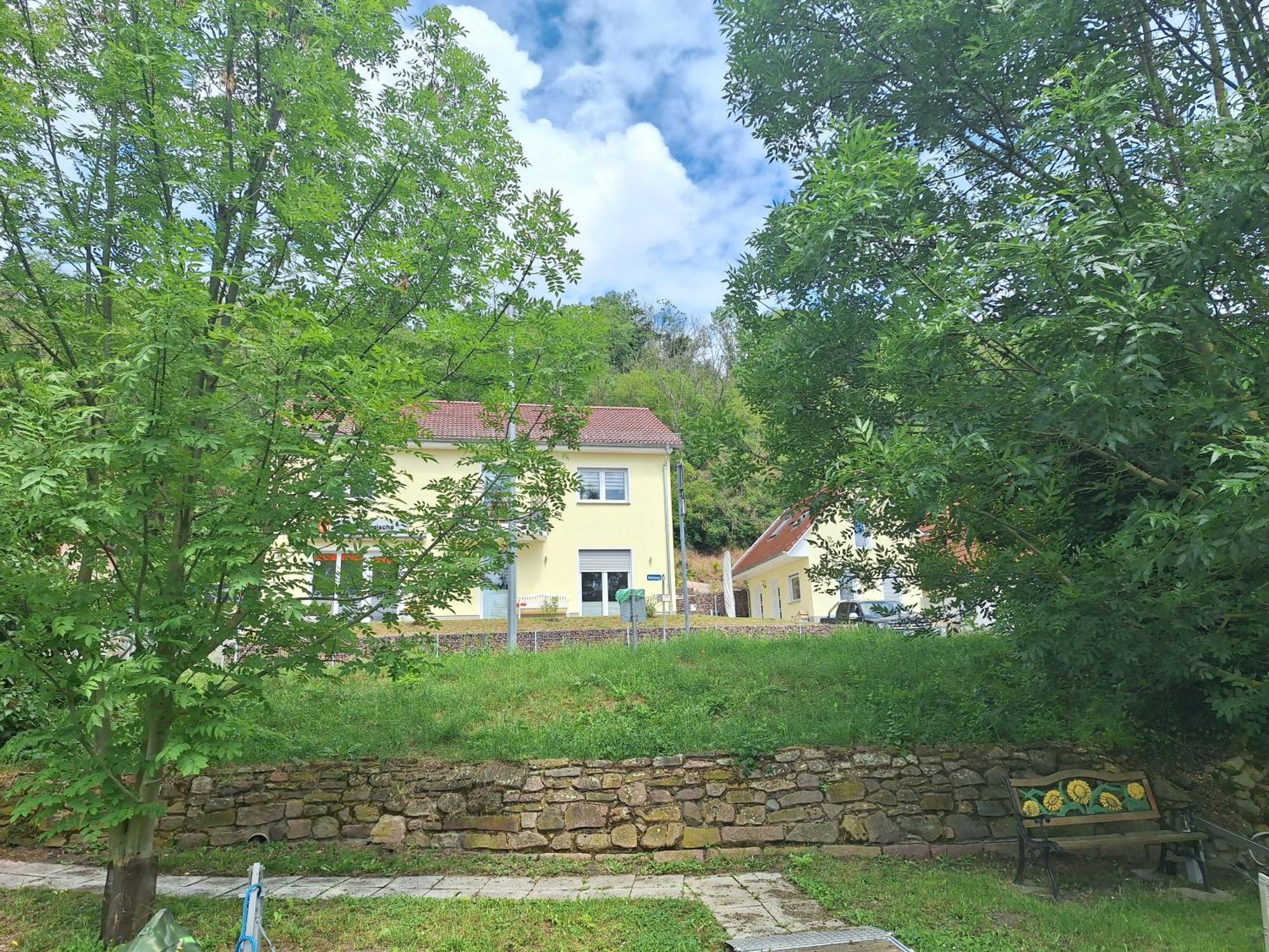 Ferienhaus Saaleblick Wettin Экстерьер фото