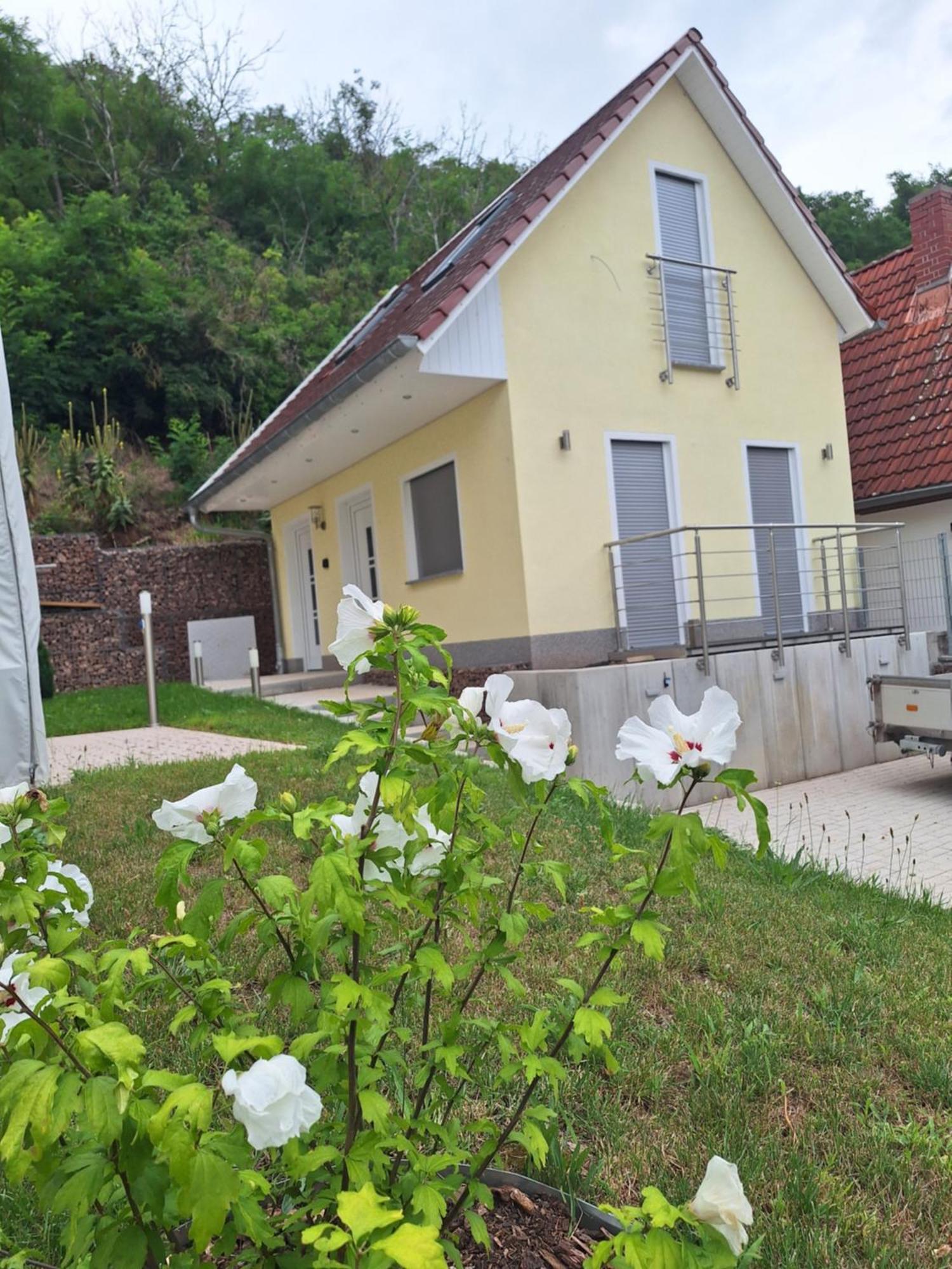 Ferienhaus Saaleblick Wettin Экстерьер фото